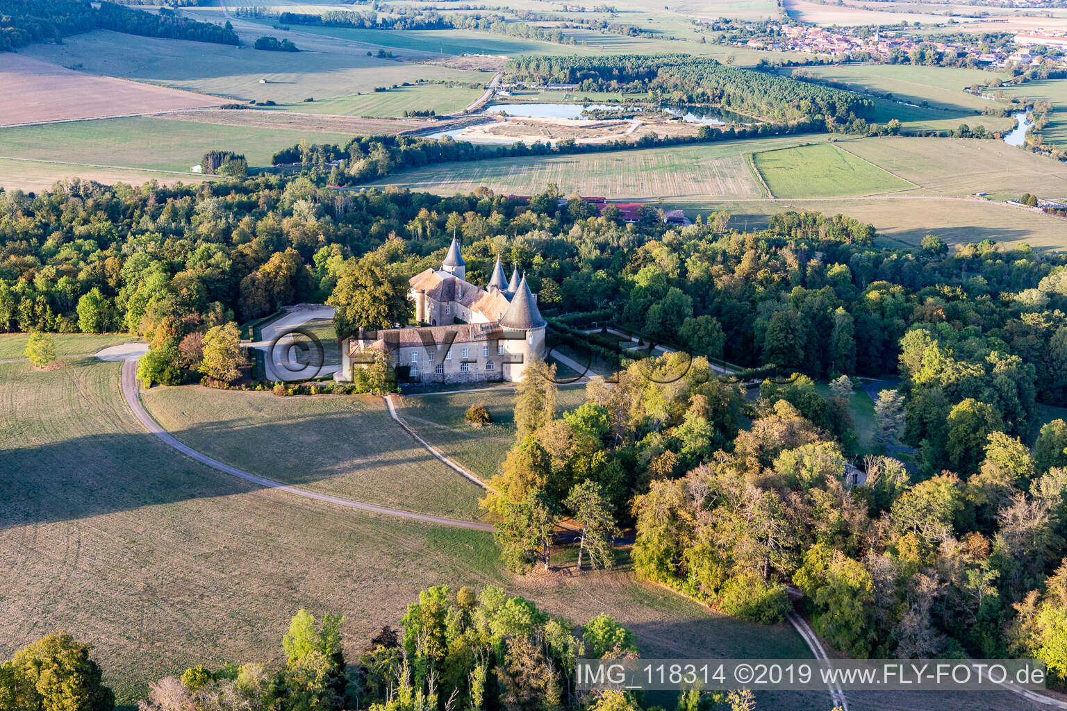Photographie aérienne de Château de Bourlémont à Frebécourt dans le département Vosges, France