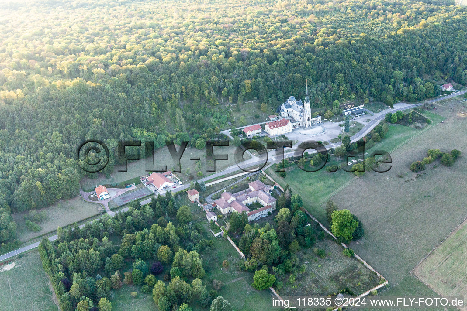 Vue aérienne de Basilique du Bois Chenu à Domrémy-la-Pucelle dans le département Vosges, France