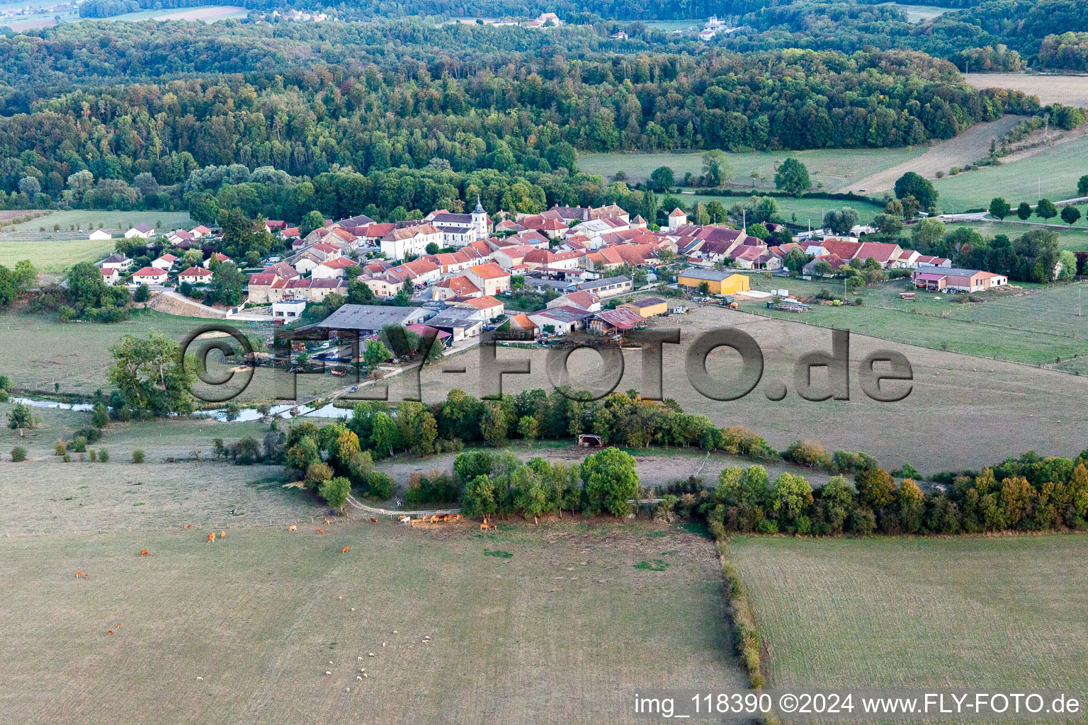 Vue aérienne de Soulosse-sous-Saint-Élophe dans le département Vosges, France