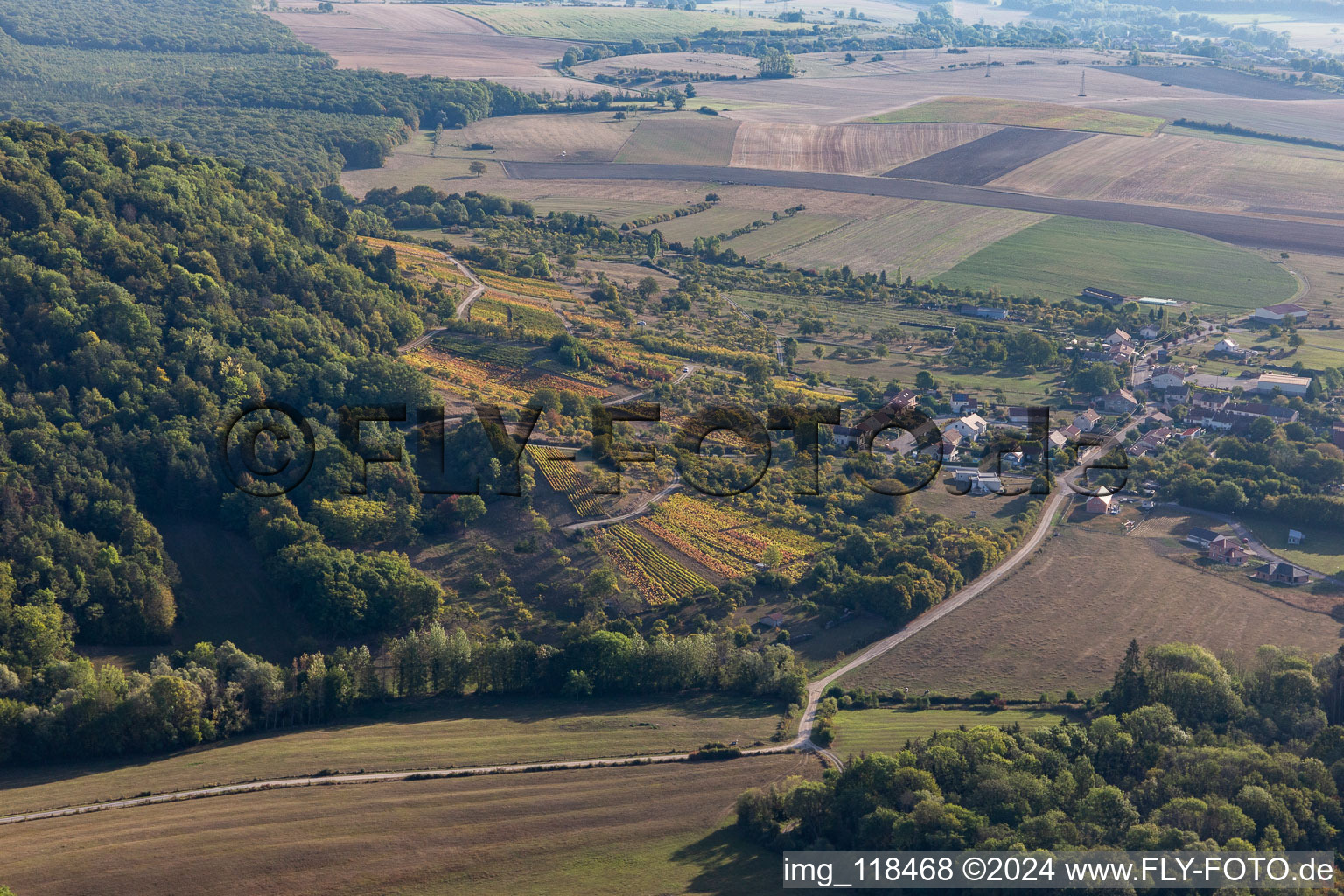 Vue aérienne de Vignobles à La Neuveville-sous-Montfort dans le département Vosges, France