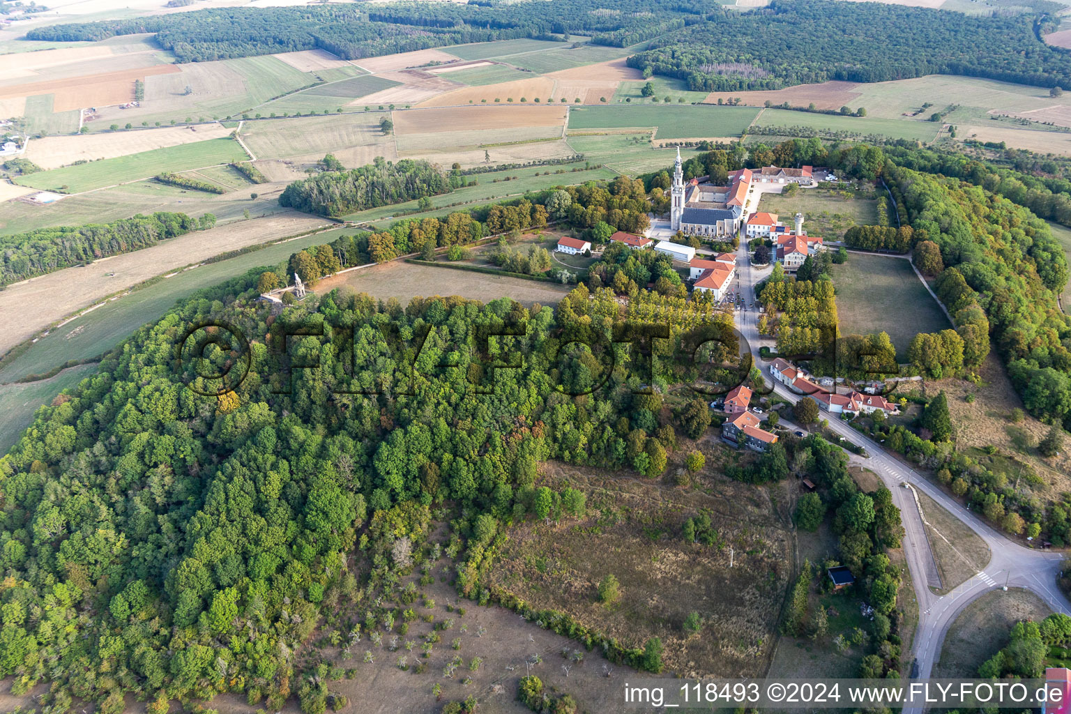 Image drone de Basilique de Sion à Saxon-Sion dans le département Meurthe et Moselle, France