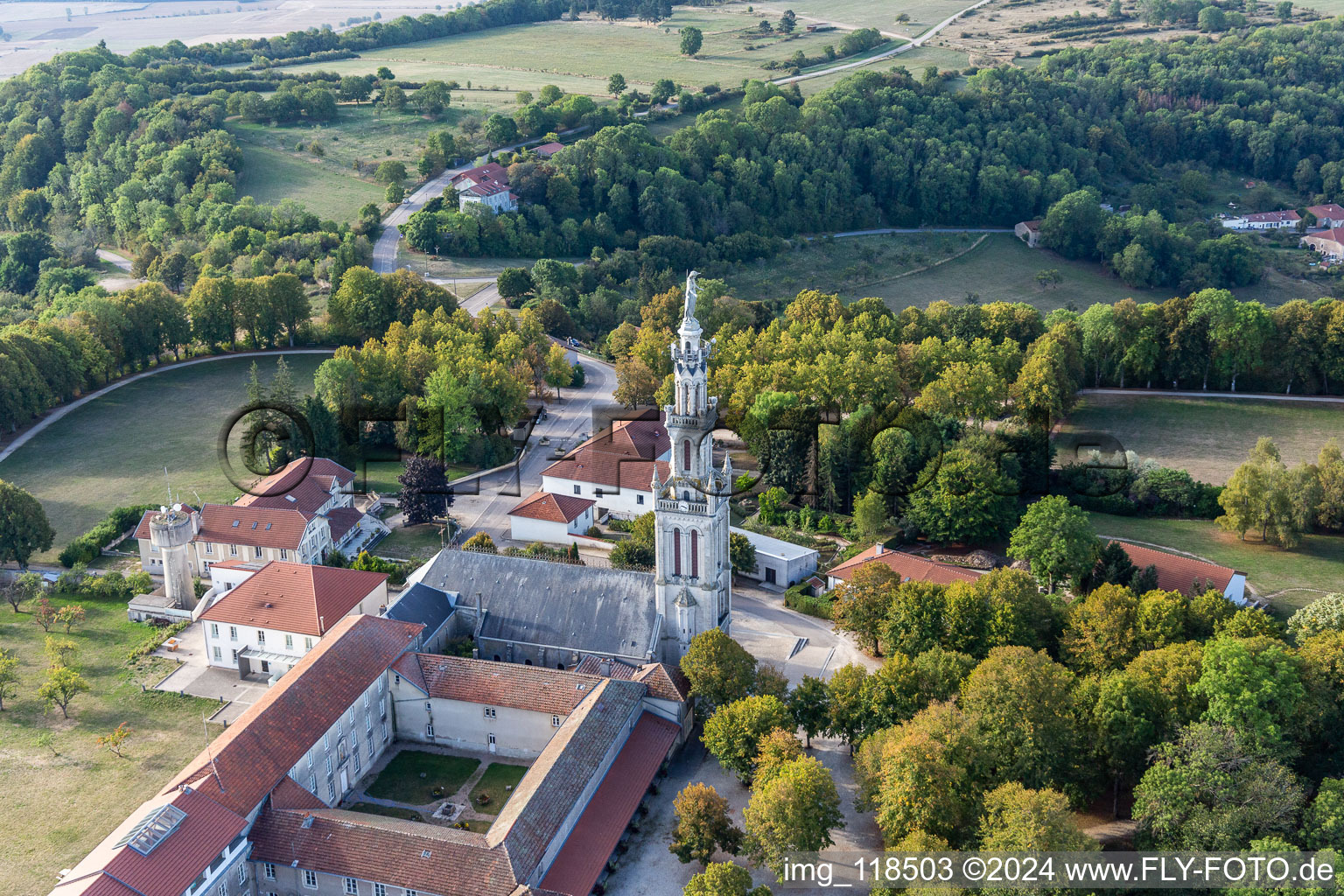 Basilique de Sion à Saxon-Sion dans le département Meurthe et Moselle, France d'en haut