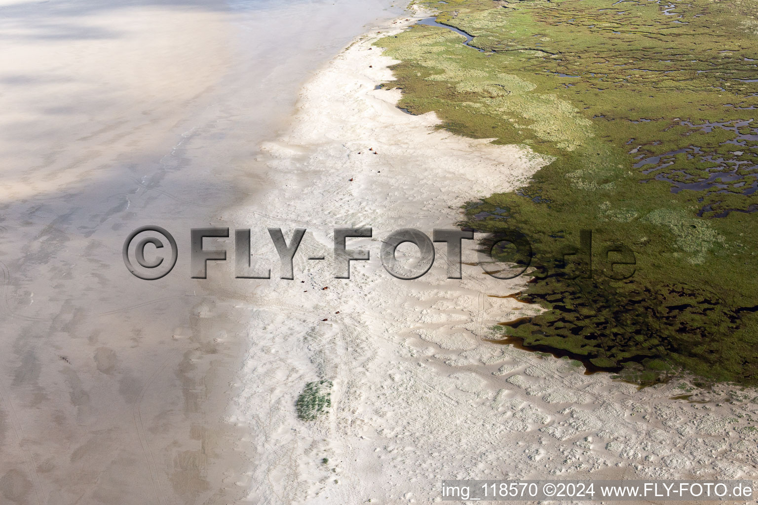 Vue aérienne de Bétail dans les dunes sur la plage de sable à Fanø dans le département Syddanmark, Danemark