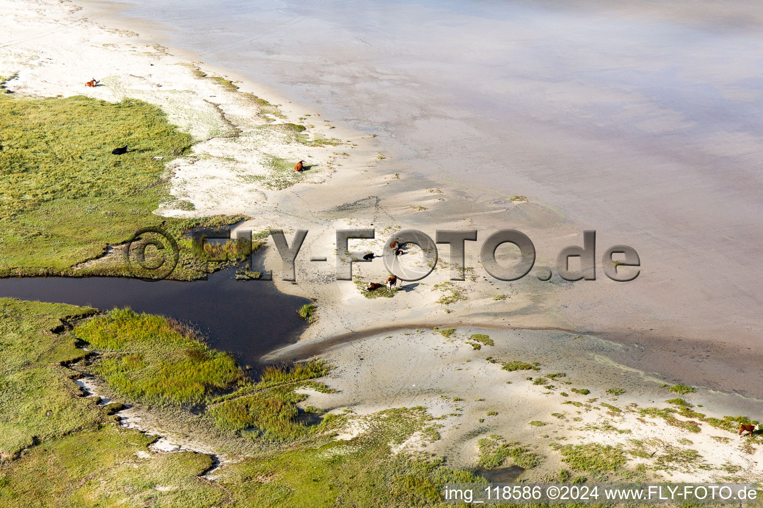 Vue aérienne de Paysage de plage de sable le long de la côte de la mer du Nord à Fanö à Fanø dans le département Syddanmark, Danemark