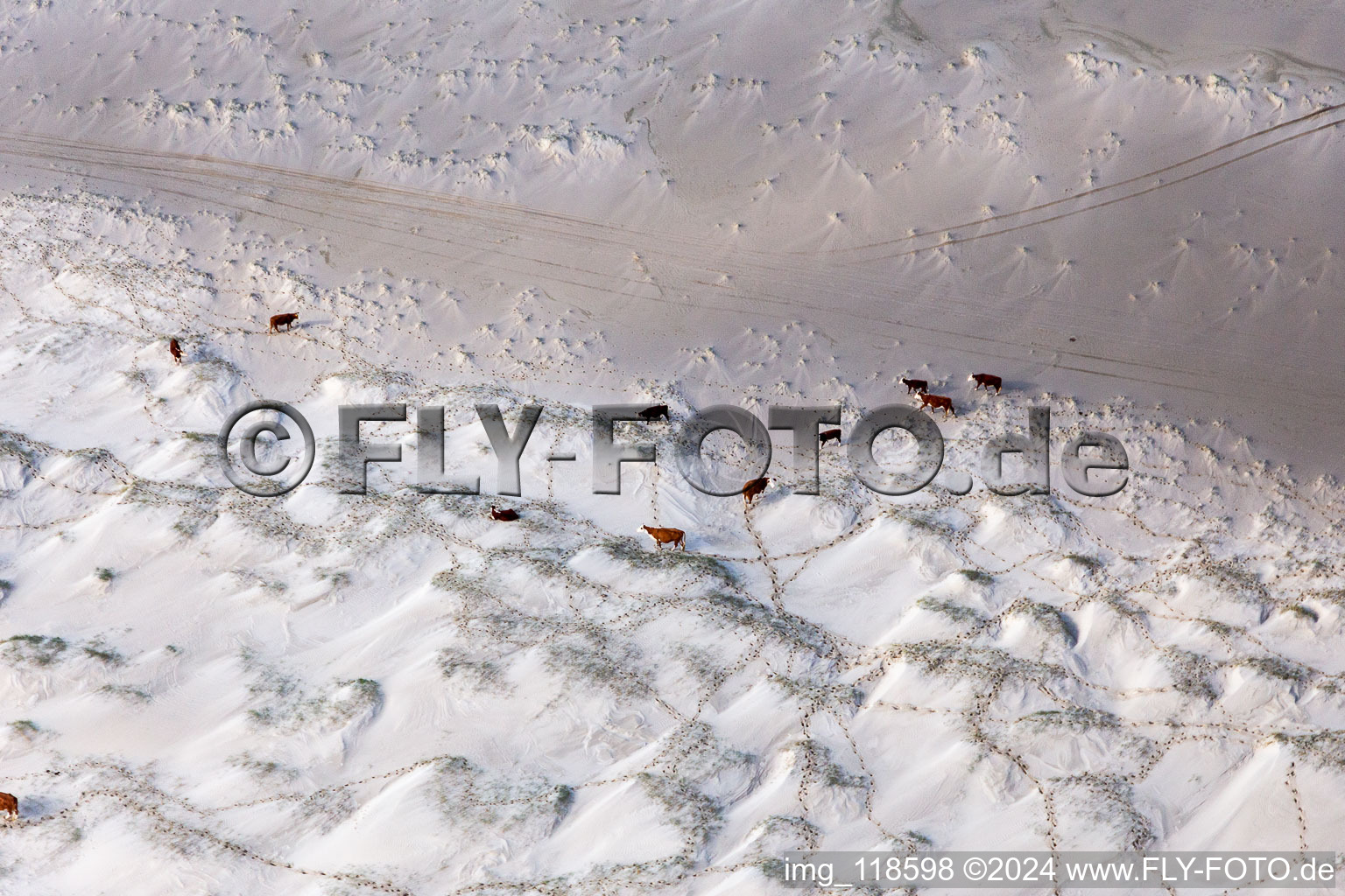 Vue aérienne de Paysage de plage de sable le long de la côte de la mer du Nord à Fanö à Fanø dans le département Syddanmark, Danemark