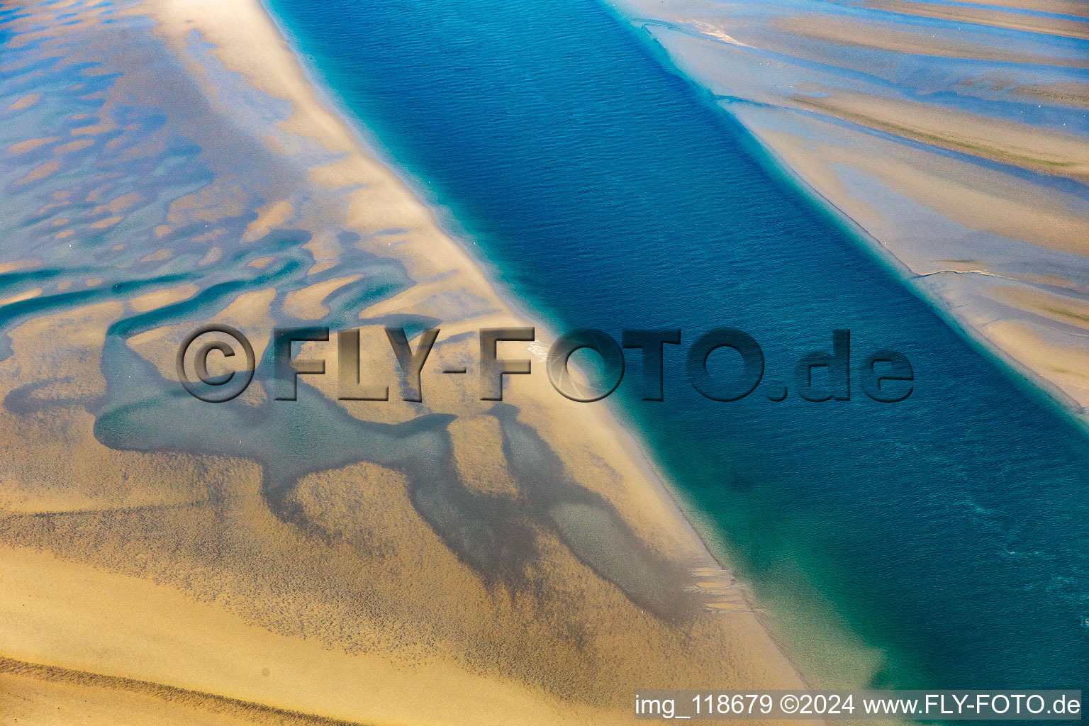 Vue oblique de Phoques à crinière et phoques communs au ruisseau de marée jusqu'au banc de sable Peter Meyers à Fanø dans le département Syddanmark, Danemark