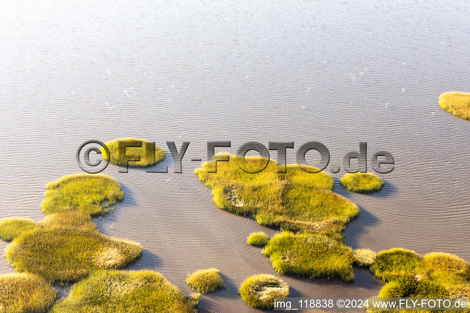 Photographie aérienne de Parc national de la mer des Wadden à Fanø dans le département Syddanmark, Danemark