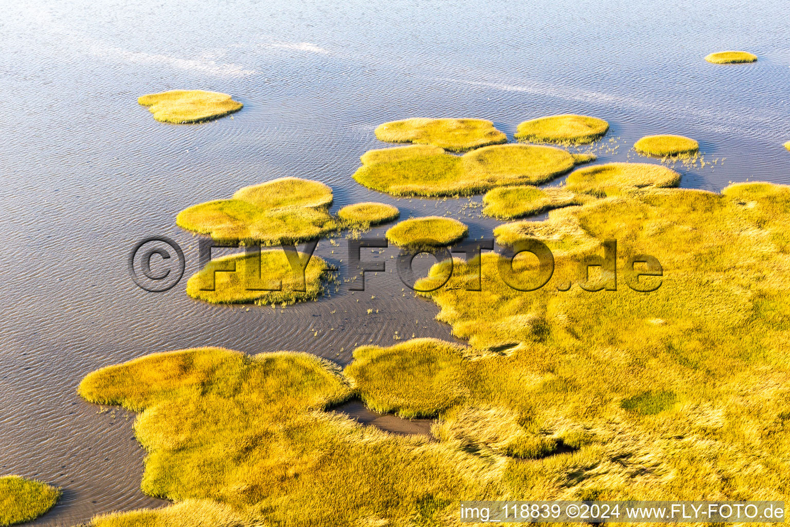 Vue oblique de Parc national de la mer des Wadden à Fanø dans le département Syddanmark, Danemark