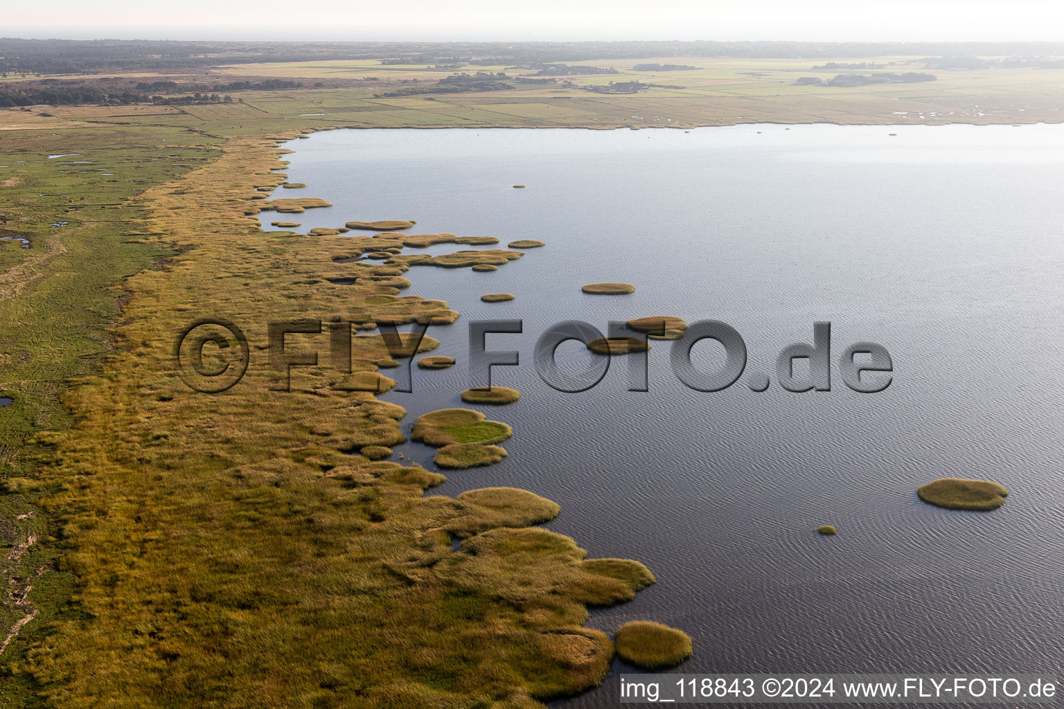 Parc national de la mer des Wadden à Fanø dans le département Syddanmark, Danemark d'en haut