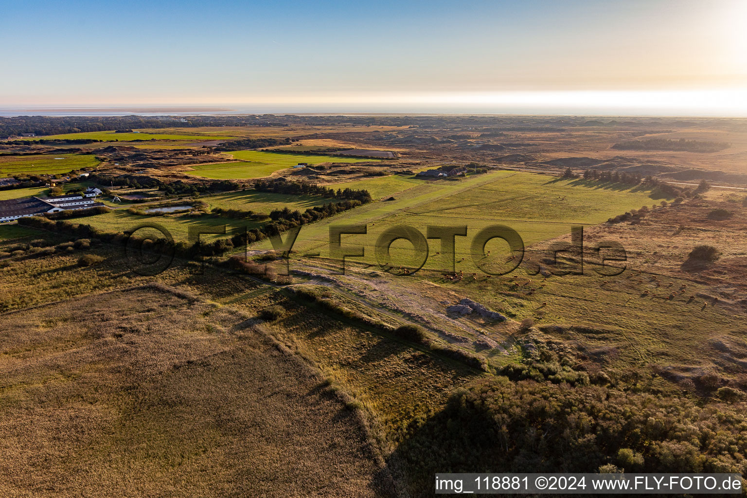 Vue aérienne de Parc national de la mer des Wadden à Fanø dans le département Syddanmark, Danemark