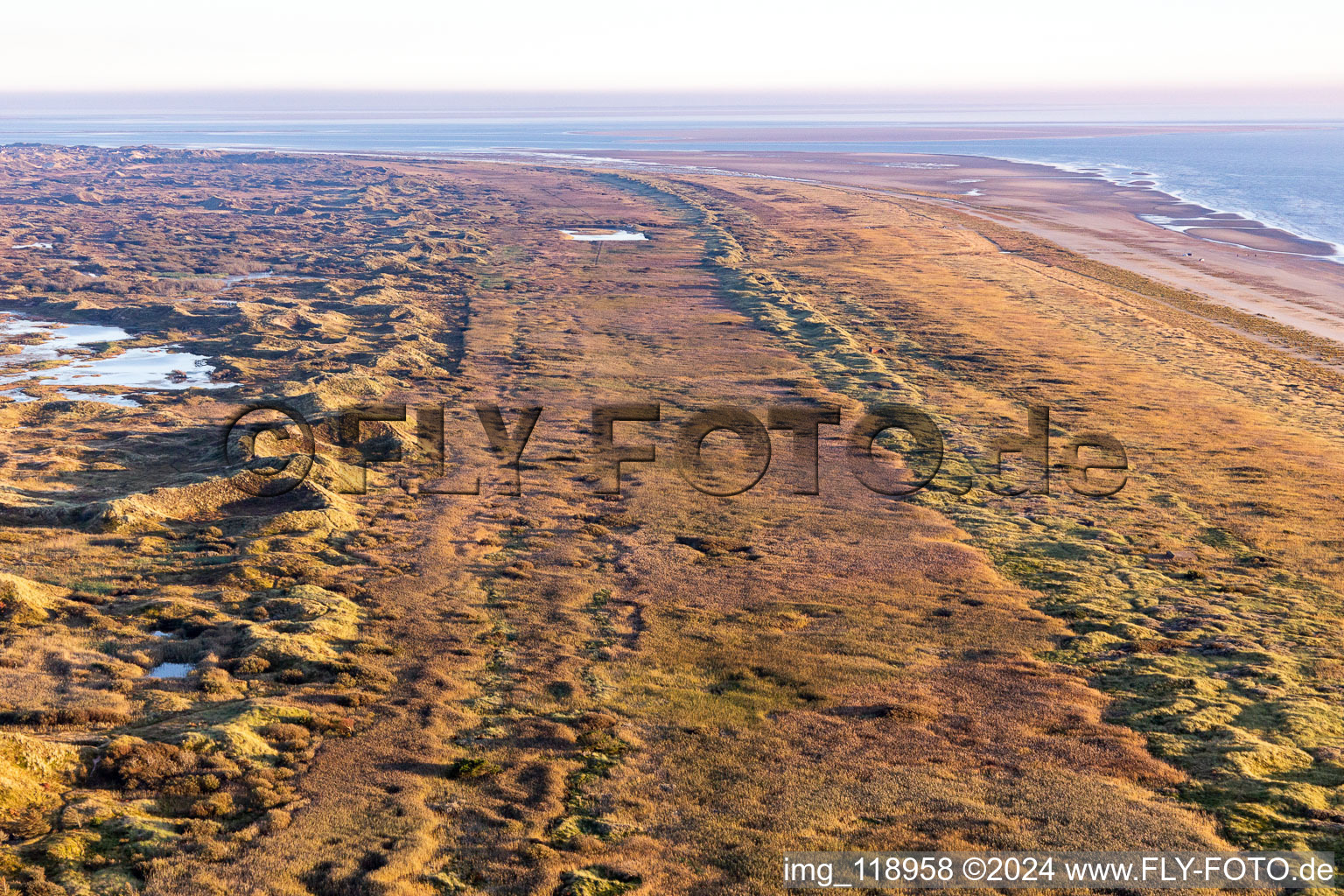 Photographie aérienne de Parc national de la mer des Wadden à Fanø dans le département Syddanmark, Danemark