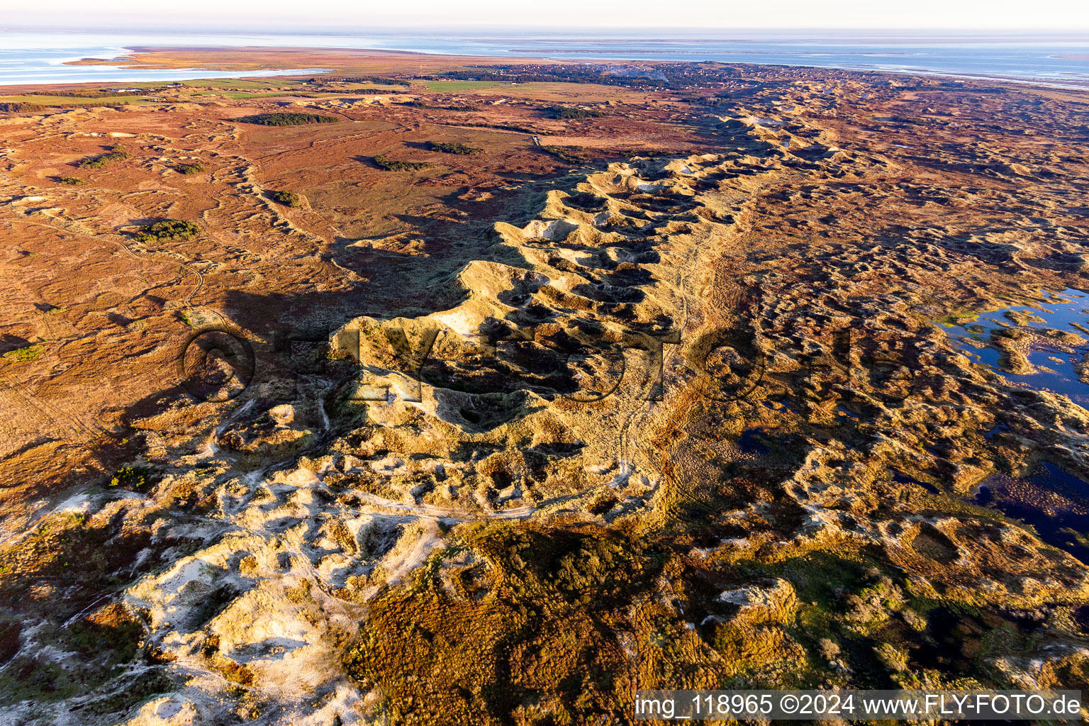 Vue aérienne de Dunes de sable et paysage côtier dans le parc national de la mer des Wadden à Fanö à Fanø dans le département Syddanmark, Danemark