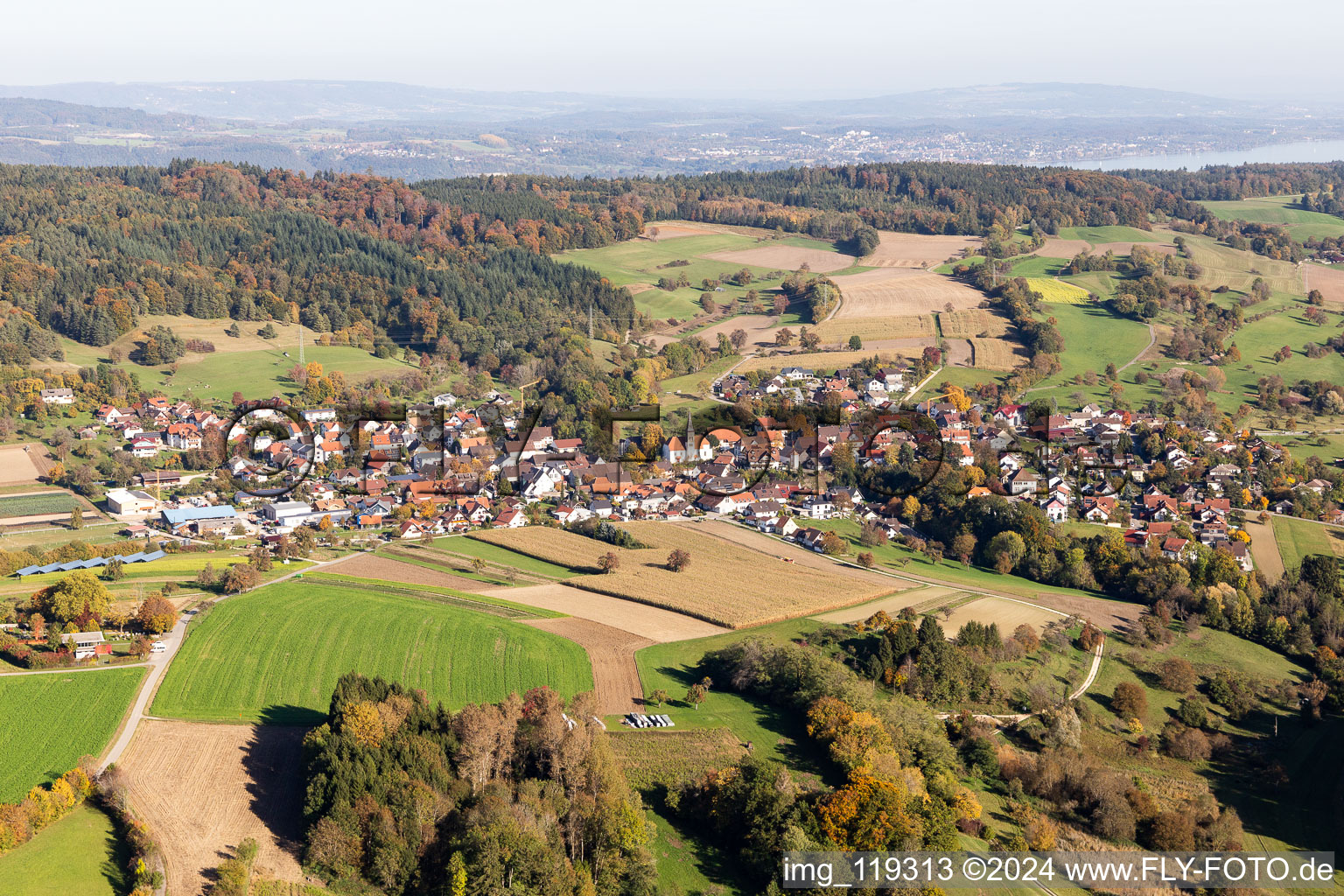 Vue aérienne de Quartier Liggeringen in Radolfzell am Bodensee dans le département Bade-Wurtemberg, Allemagne