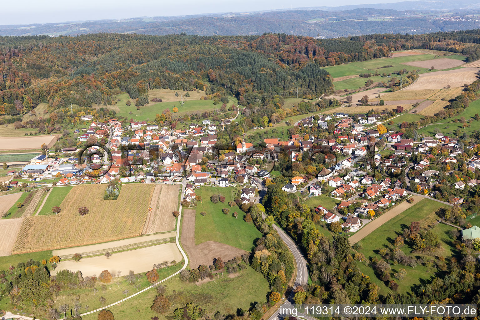 Vue aérienne de Quartier Liggeringen in Radolfzell am Bodensee dans le département Bade-Wurtemberg, Allemagne