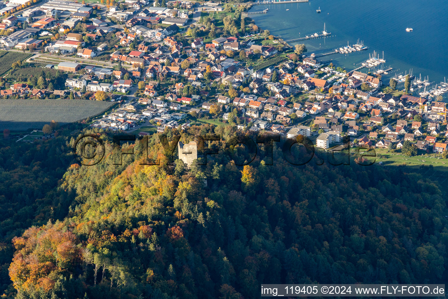 Photographie aérienne de Runie Altbodman à Bodman-Ludwigshafen dans le département Bade-Wurtemberg, Allemagne