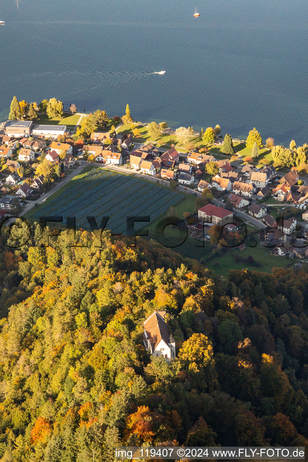 Runie Altbodman à Bodman-Ludwigshafen dans le département Bade-Wurtemberg, Allemagne d'en haut