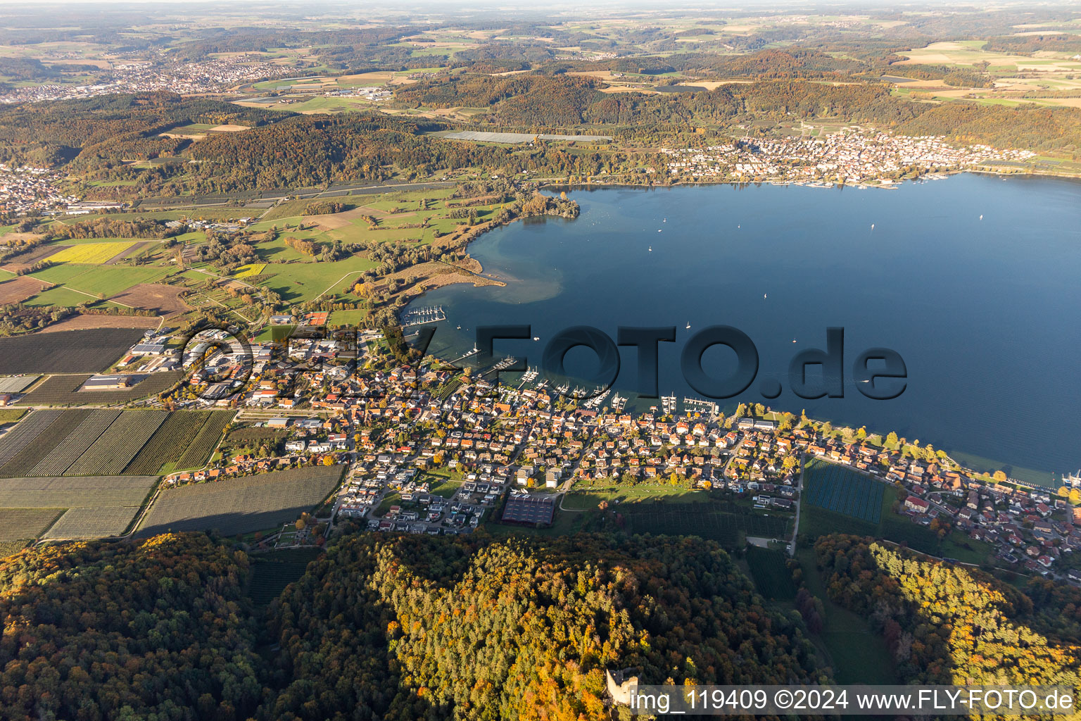 Vue aérienne de Zone riveraine du lac de Constance à le quartier Bodman in Bodman-Ludwigshafen dans le département Bade-Wurtemberg, Allemagne