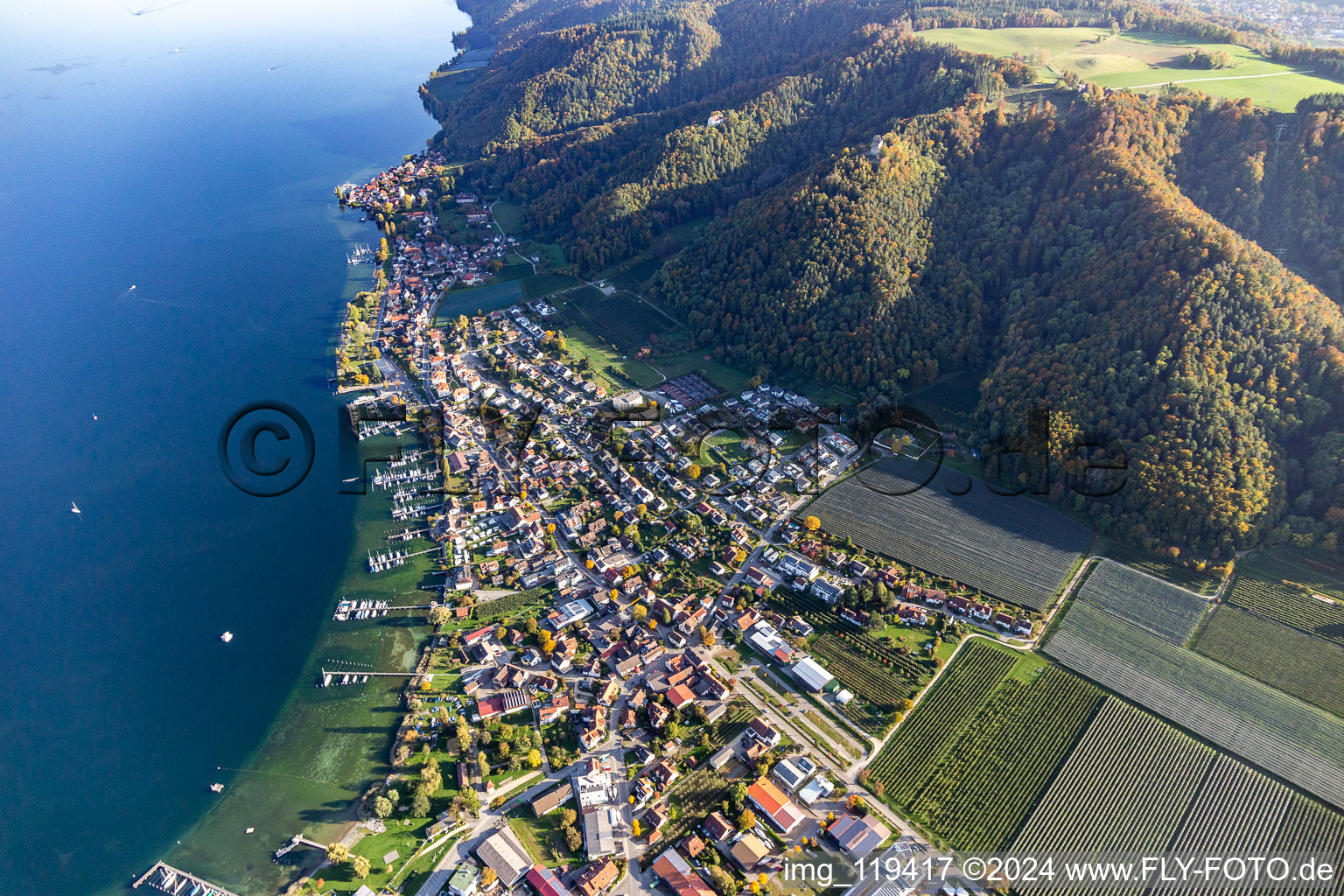 Vue aérienne de Marina - zone portuaire au bord du lac de Constance en Bodman à le quartier Bodman in Bodman-Ludwigshafen dans le département Bade-Wurtemberg, Allemagne