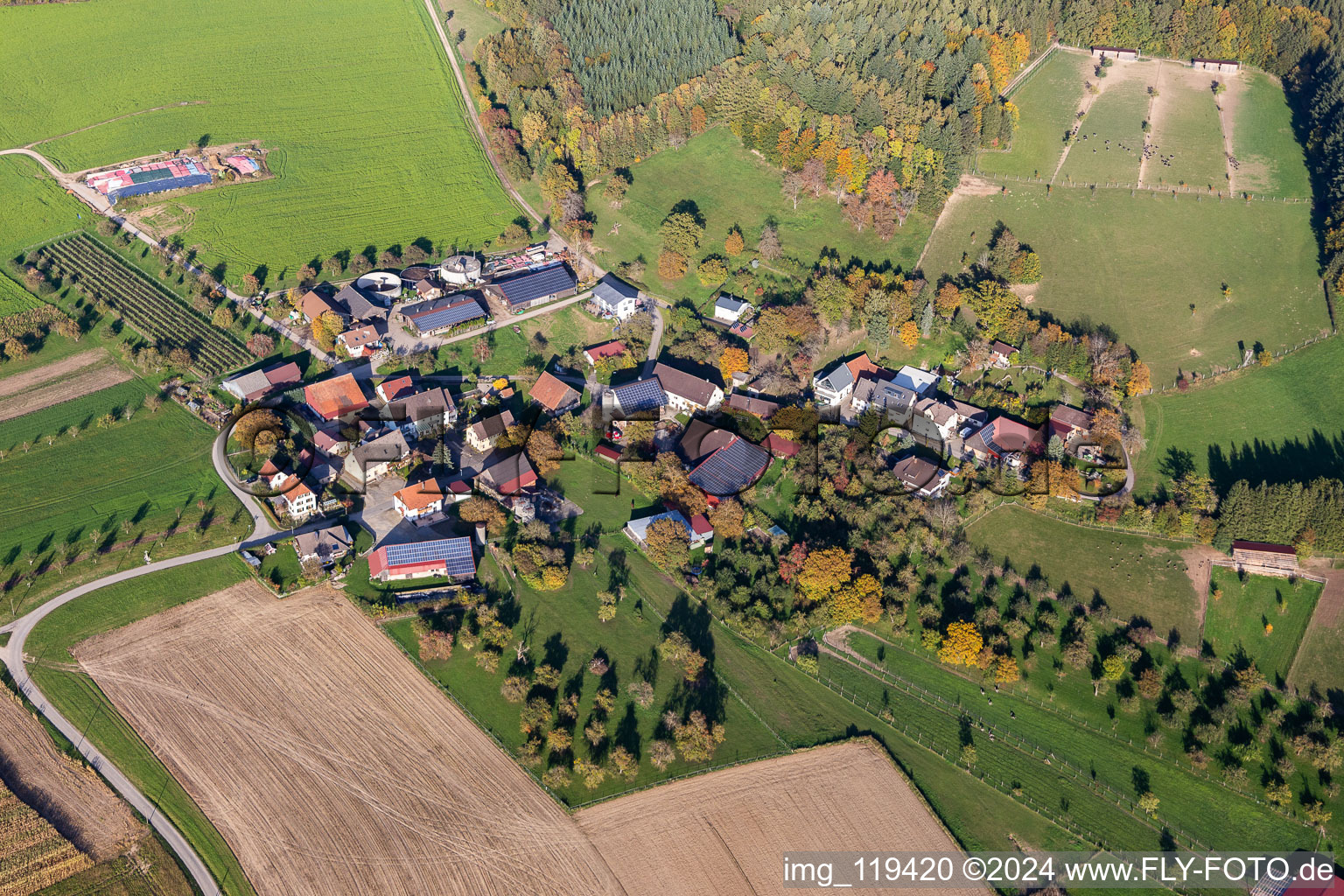 Vue aérienne de Ferme d'autruches Hegau-Bodensee à Stockach dans le département Bade-Wurtemberg, Allemagne