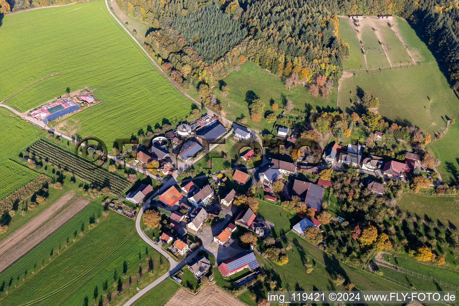 Vue aérienne de Ferme d'autruches Hegau-Bodensee à Stockach dans le département Bade-Wurtemberg, Allemagne