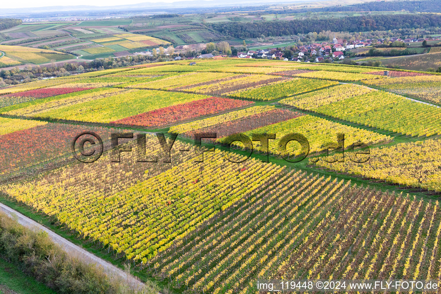 Vue aérienne de Vignobles au bord du Main à le quartier Obereisenheim in Eisenheim dans le département Bavière, Allemagne