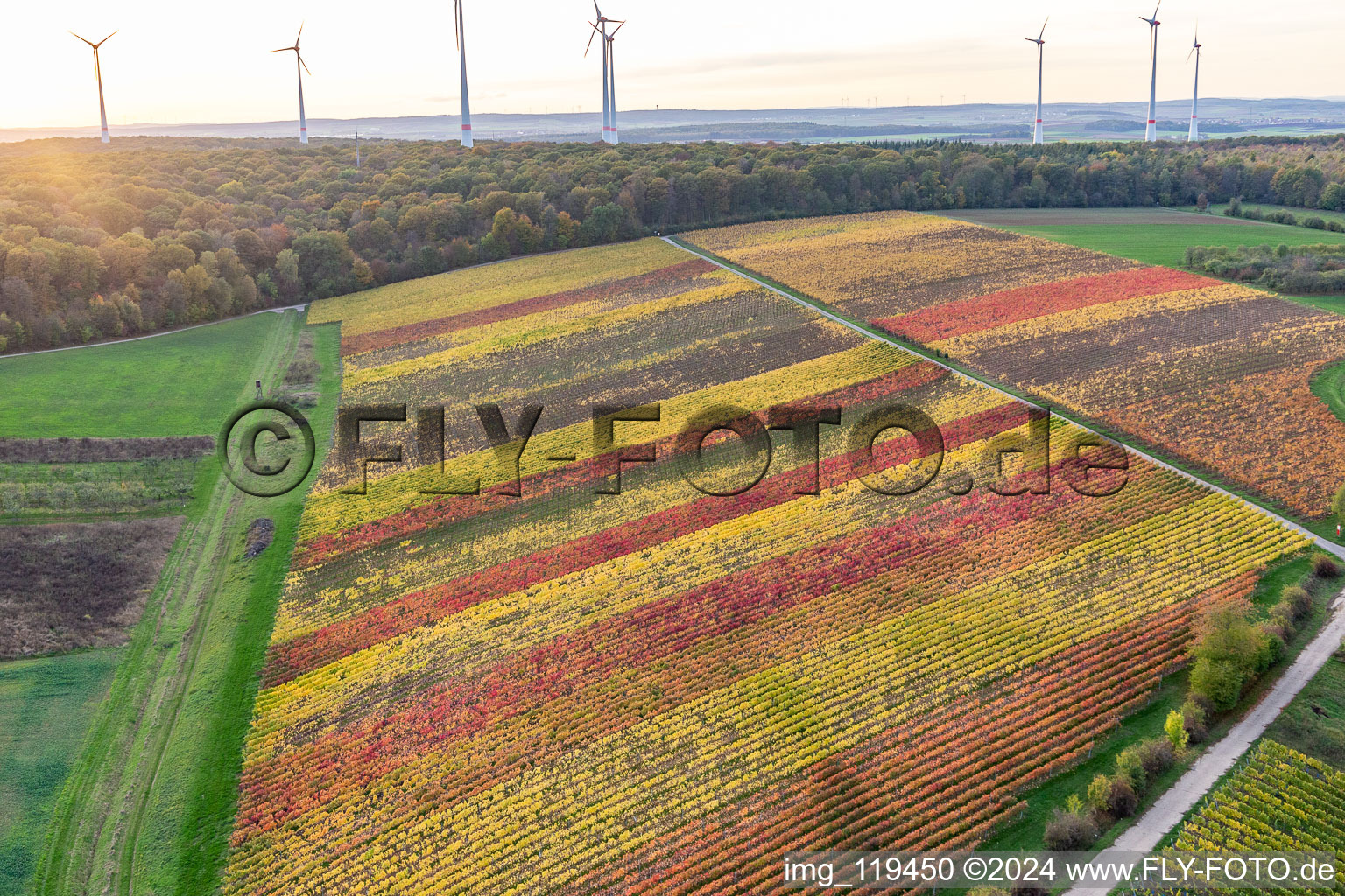 Vue aérienne de Vignobles au bord du Main à le quartier Obereisenheim in Eisenheim dans le département Bavière, Allemagne