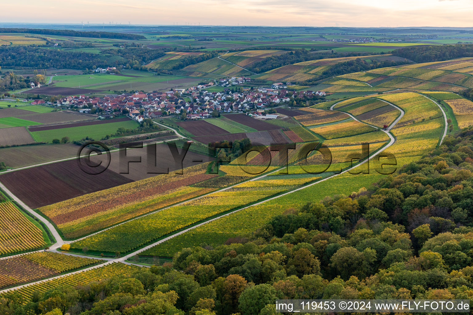 Quartier Untereisenheim in Eisenheim dans le département Bavière, Allemagne depuis l'avion