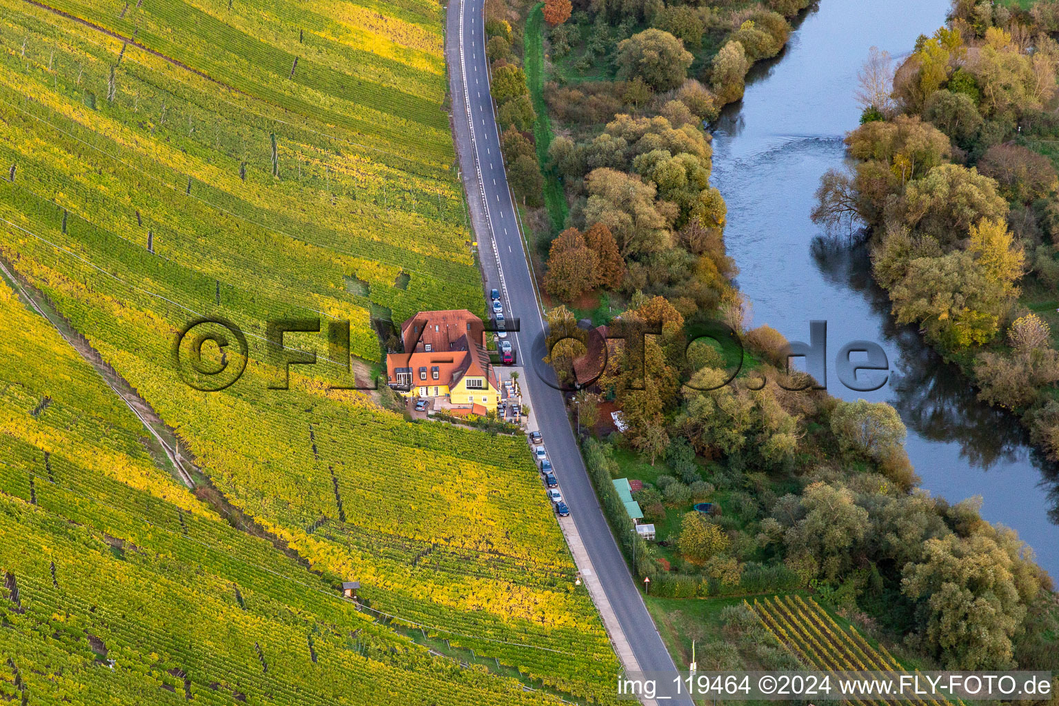 Vue aérienne de Gasthaus Mainblick Cabane empoisonnée à le quartier Escherndorf in Volkach dans le département Bavière, Allemagne