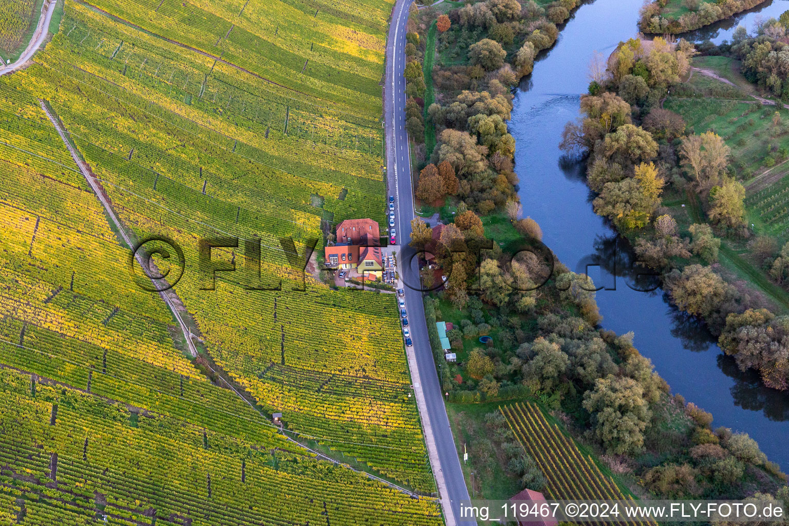 Vue aérienne de Restaurant Gasthaus Mainblick Gifthütte sur la boucle principale à le quartier Escherndorf in Volkach dans le département Bavière, Allemagne