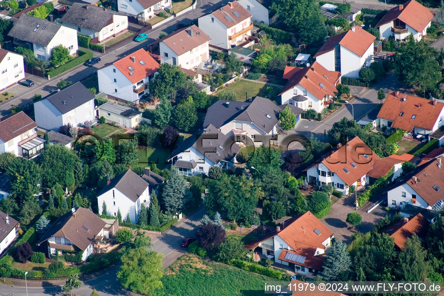 Image drone de Steinweiler dans le département Rhénanie-Palatinat, Allemagne