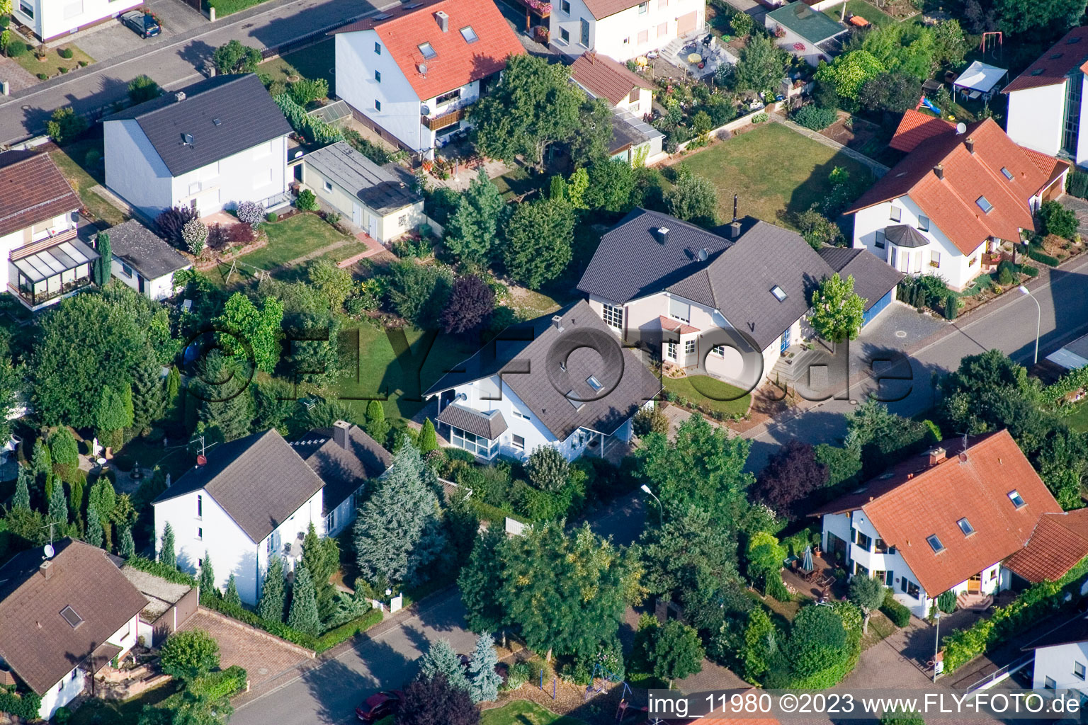 Steinweiler dans le département Rhénanie-Palatinat, Allemagne du point de vue du drone