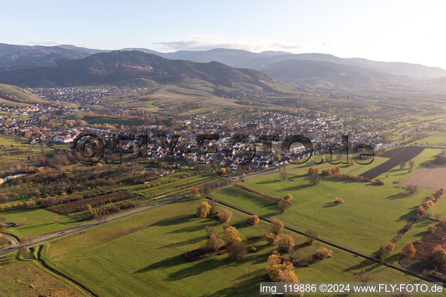 Vue aérienne de Quartier Steinbach in Baden-Baden dans le département Bade-Wurtemberg, Allemagne