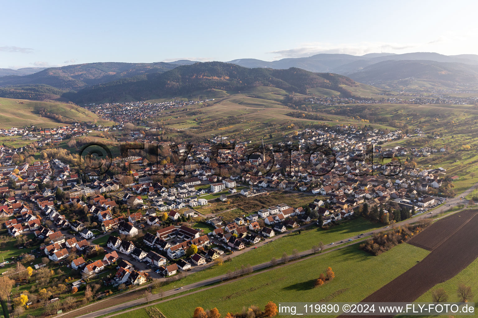 Vue aérienne de Quartier Steinbach in Baden-Baden dans le département Bade-Wurtemberg, Allemagne