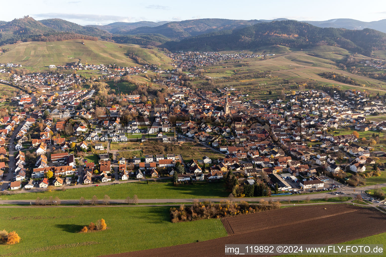 Photographie aérienne de Quartier Steinbach in Baden-Baden dans le département Bade-Wurtemberg, Allemagne