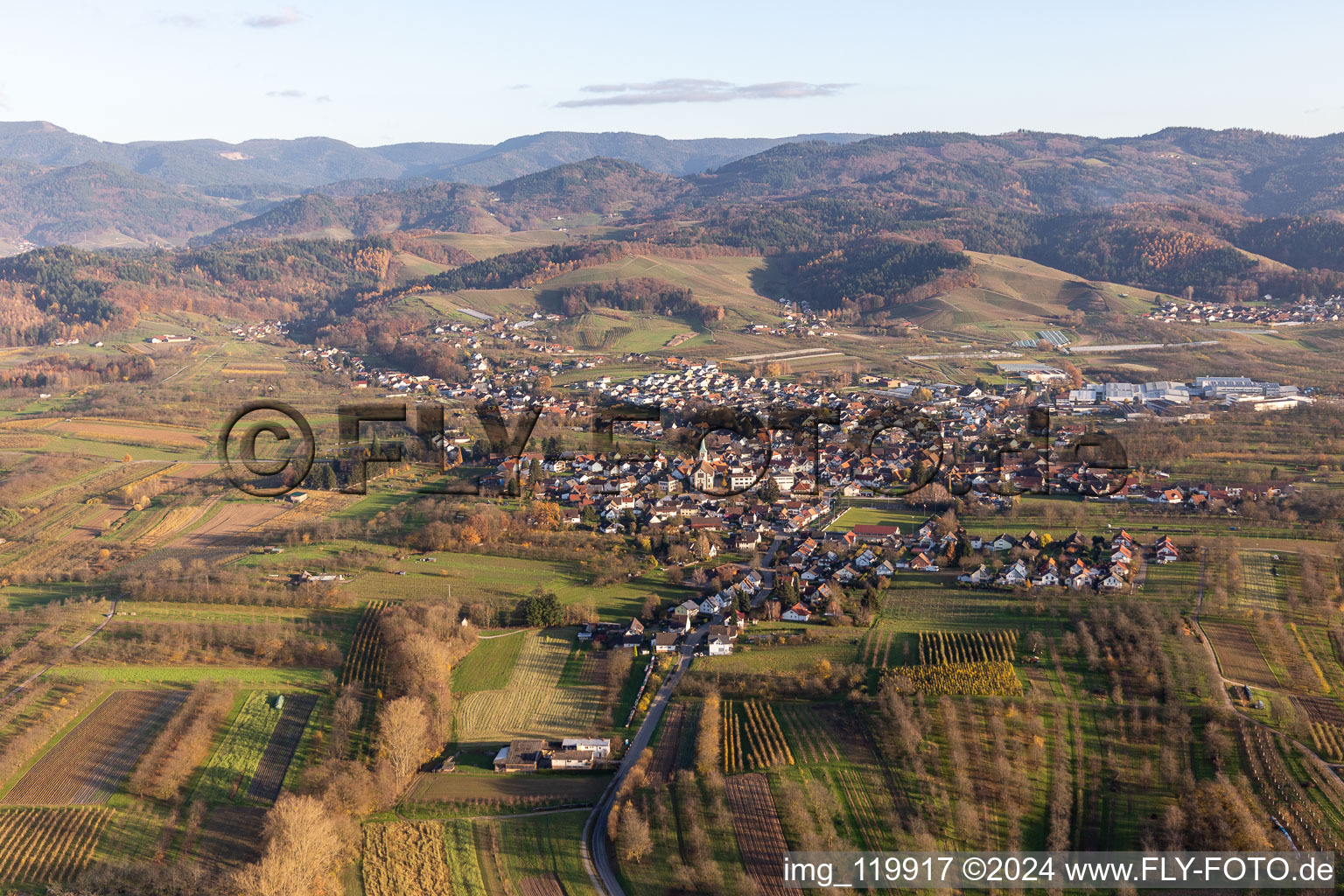 Vue aérienne de Quartier Ulm in Renchen dans le département Bade-Wurtemberg, Allemagne