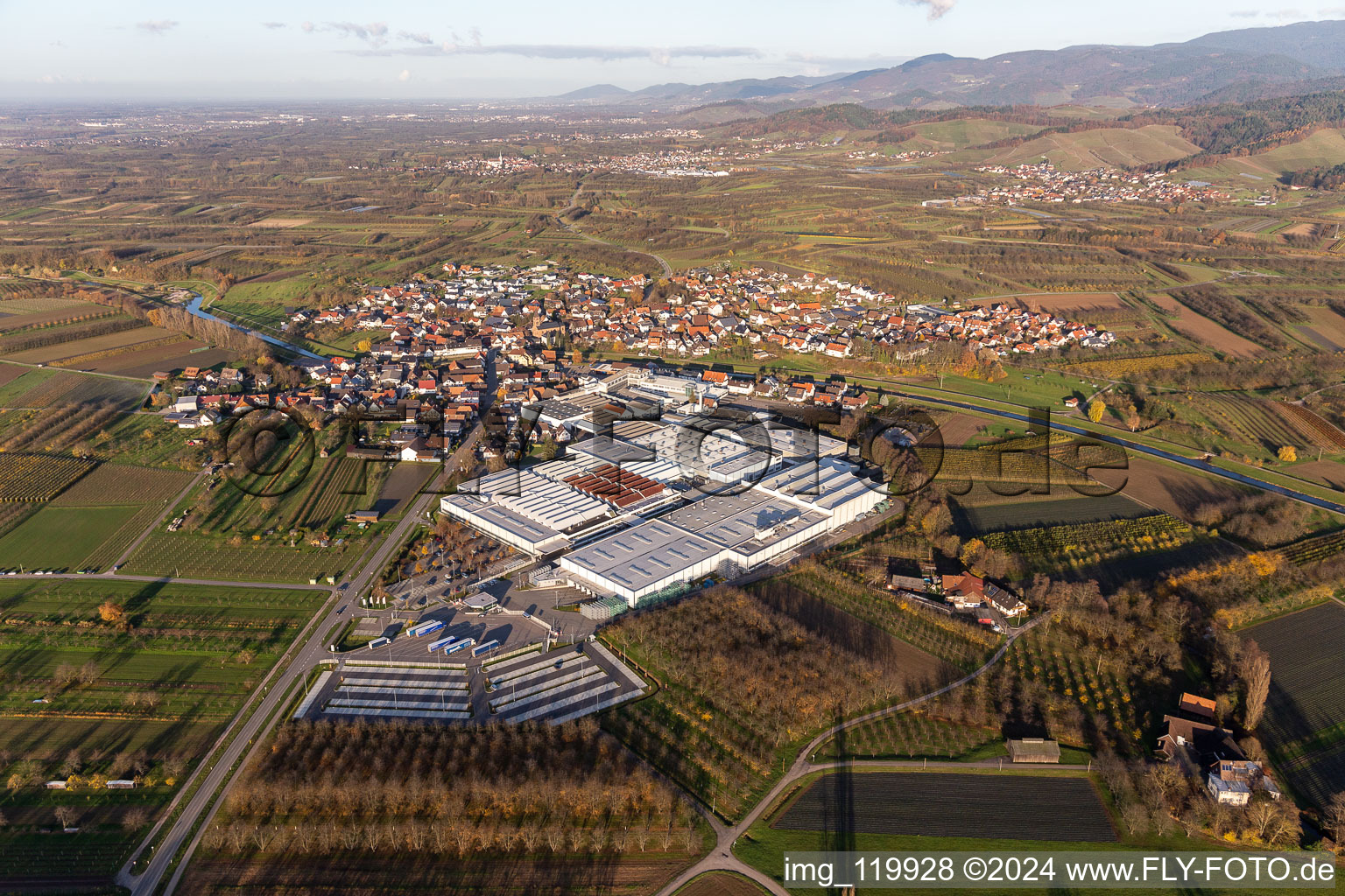 Vue aérienne de Locaux de l'entreprise Progress-Werk Oberkirch AG avec halls, bâtiments d'entreprise et installations de production en Stadelhofen à le quartier Stadelhofen in Oberkirch dans le département Bade-Wurtemberg, Allemagne