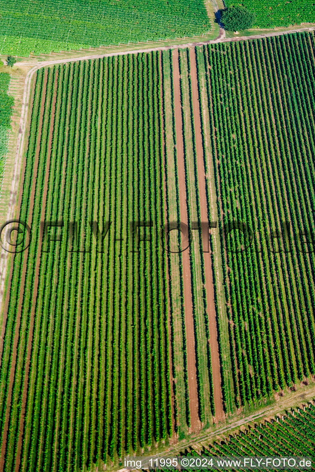 Rohrbach dans le département Rhénanie-Palatinat, Allemagne vue du ciel