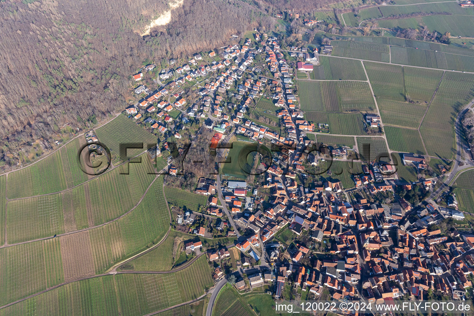 Frankweiler dans le département Rhénanie-Palatinat, Allemagne vu d'un drone