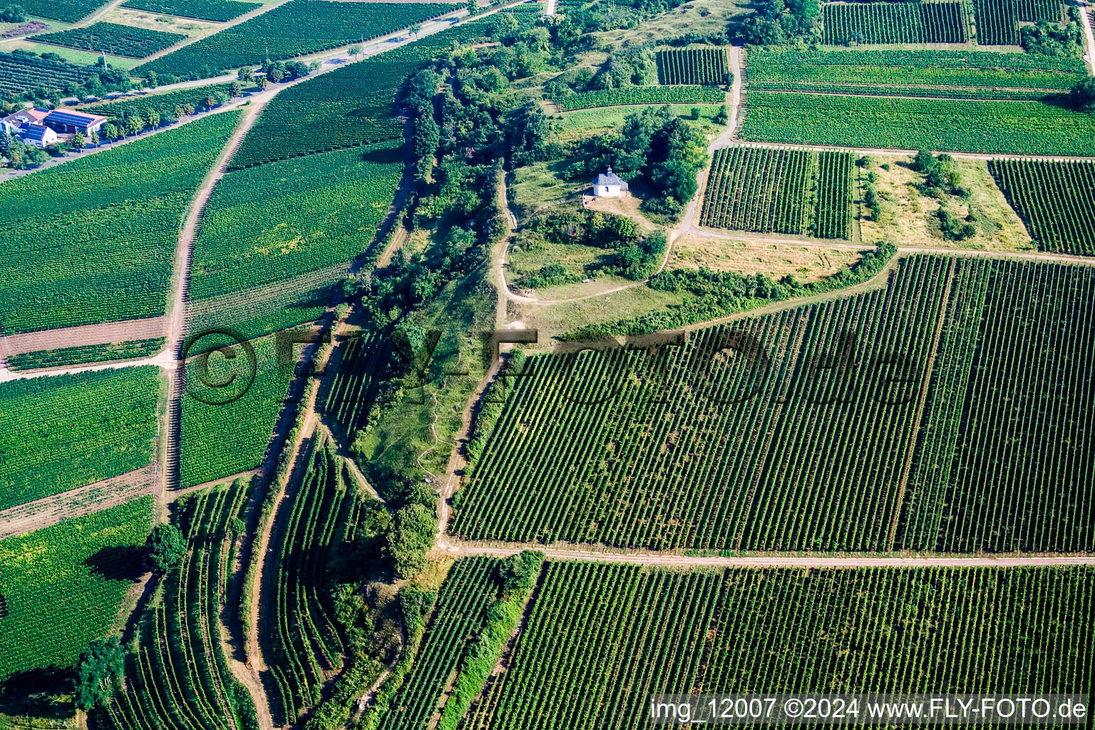 Ilbesheim bei Landau in der Pfalz dans le département Rhénanie-Palatinat, Allemagne du point de vue du drone