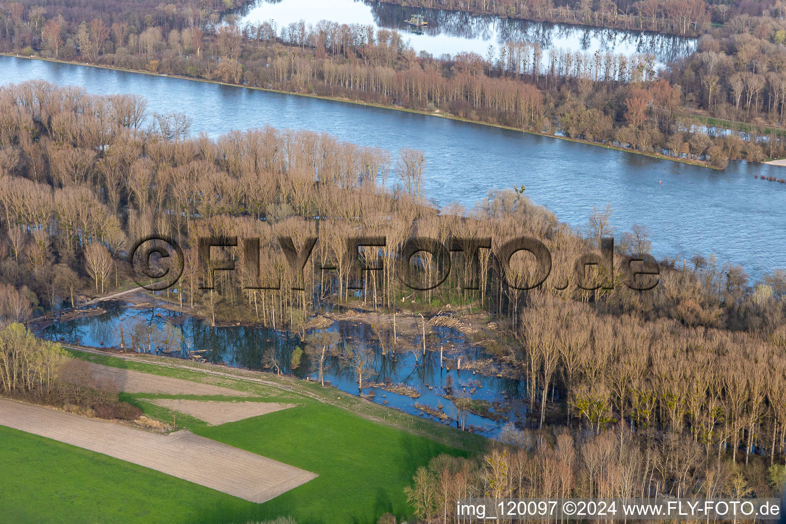 Vue aérienne de Inondations dans les plaines inondables du Rhin à Neupotz dans le département Rhénanie-Palatinat, Allemagne