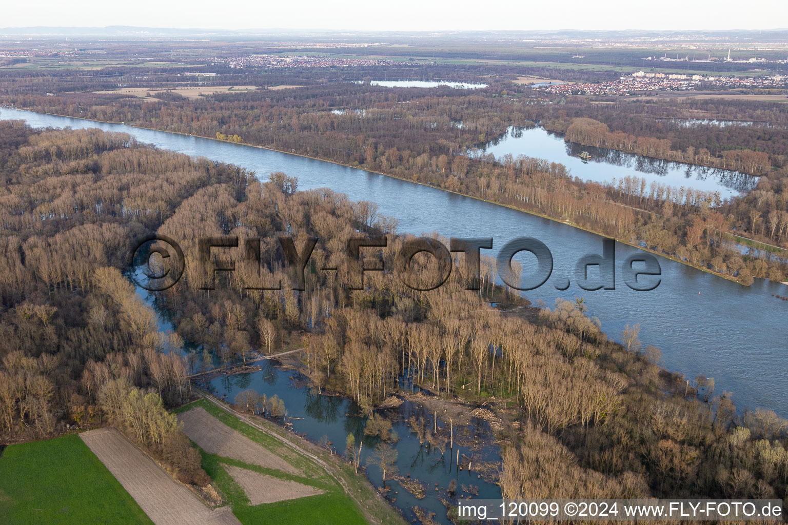 Vue aérienne de Inondations dans les plaines inondables du Rhin à Neupotz dans le département Rhénanie-Palatinat, Allemagne