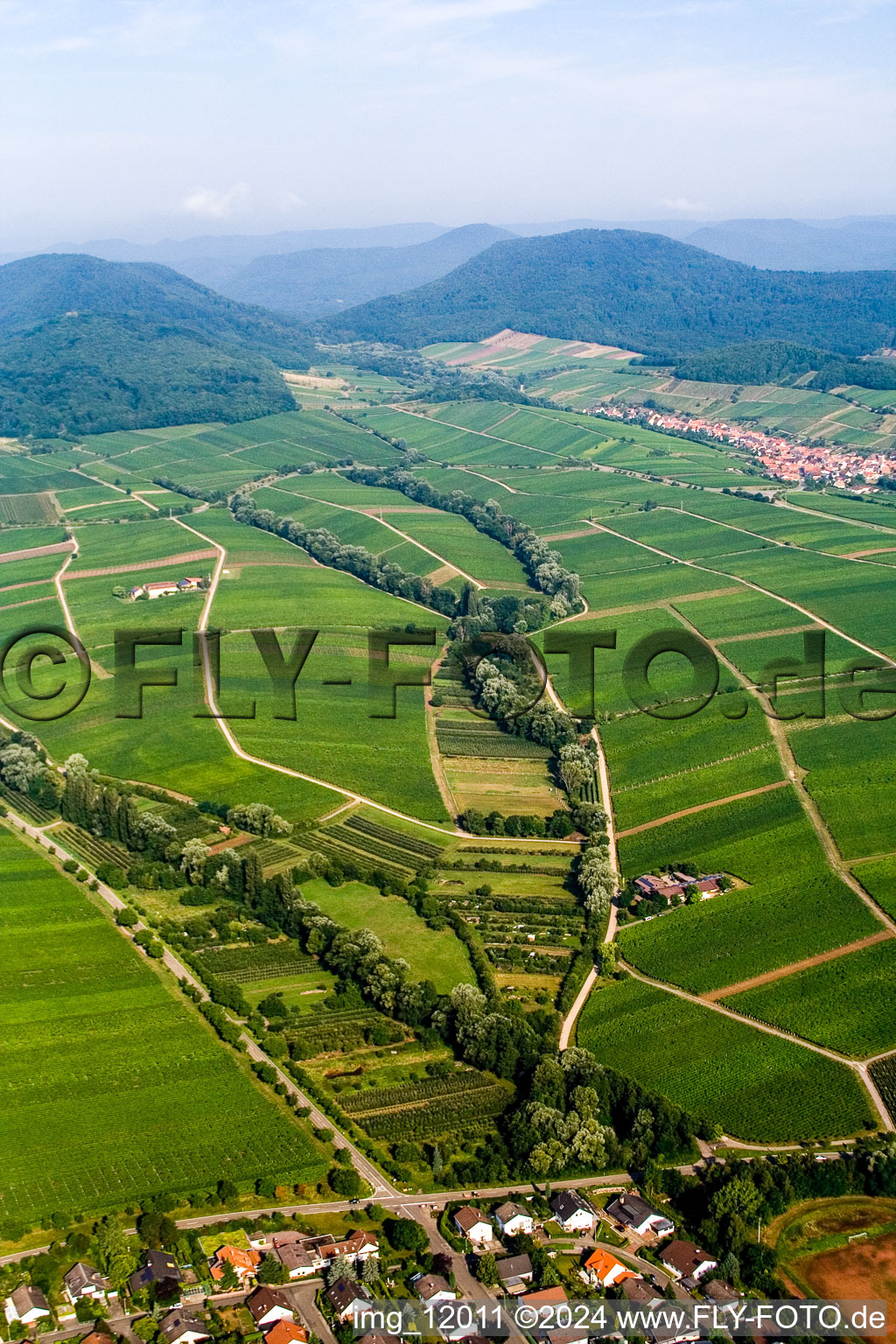 Vue aérienne de Paysage viticole des terroirs viticoles à le quartier Ilbesheim in Ilbesheim bei Landau in der Pfalz dans le département Rhénanie-Palatinat, Allemagne