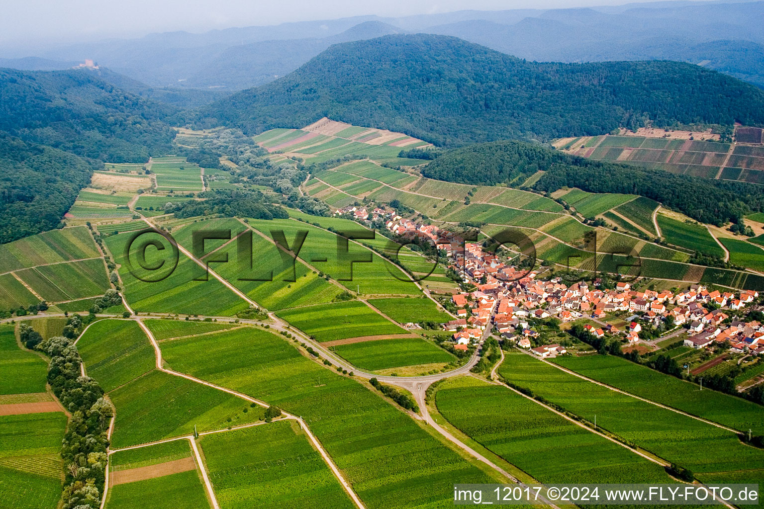 Vue aérienne de Paysage viticole des régions viticoles du Palatinat à Ranschbach dans le département Rhénanie-Palatinat, Allemagne