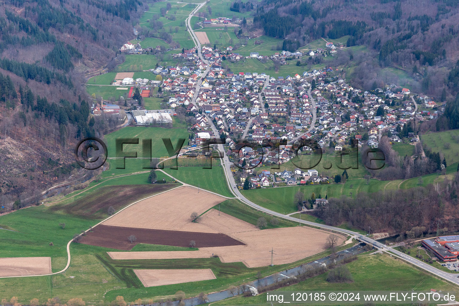 Vue aérienne de Quartier Langenau in Schopfheim dans le département Bade-Wurtemberg, Allemagne