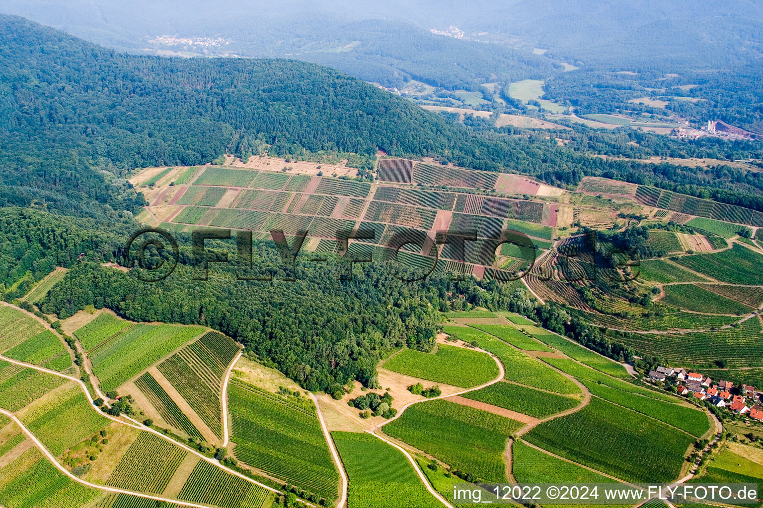 Vue oblique de Ranschbach dans le département Rhénanie-Palatinat, Allemagne