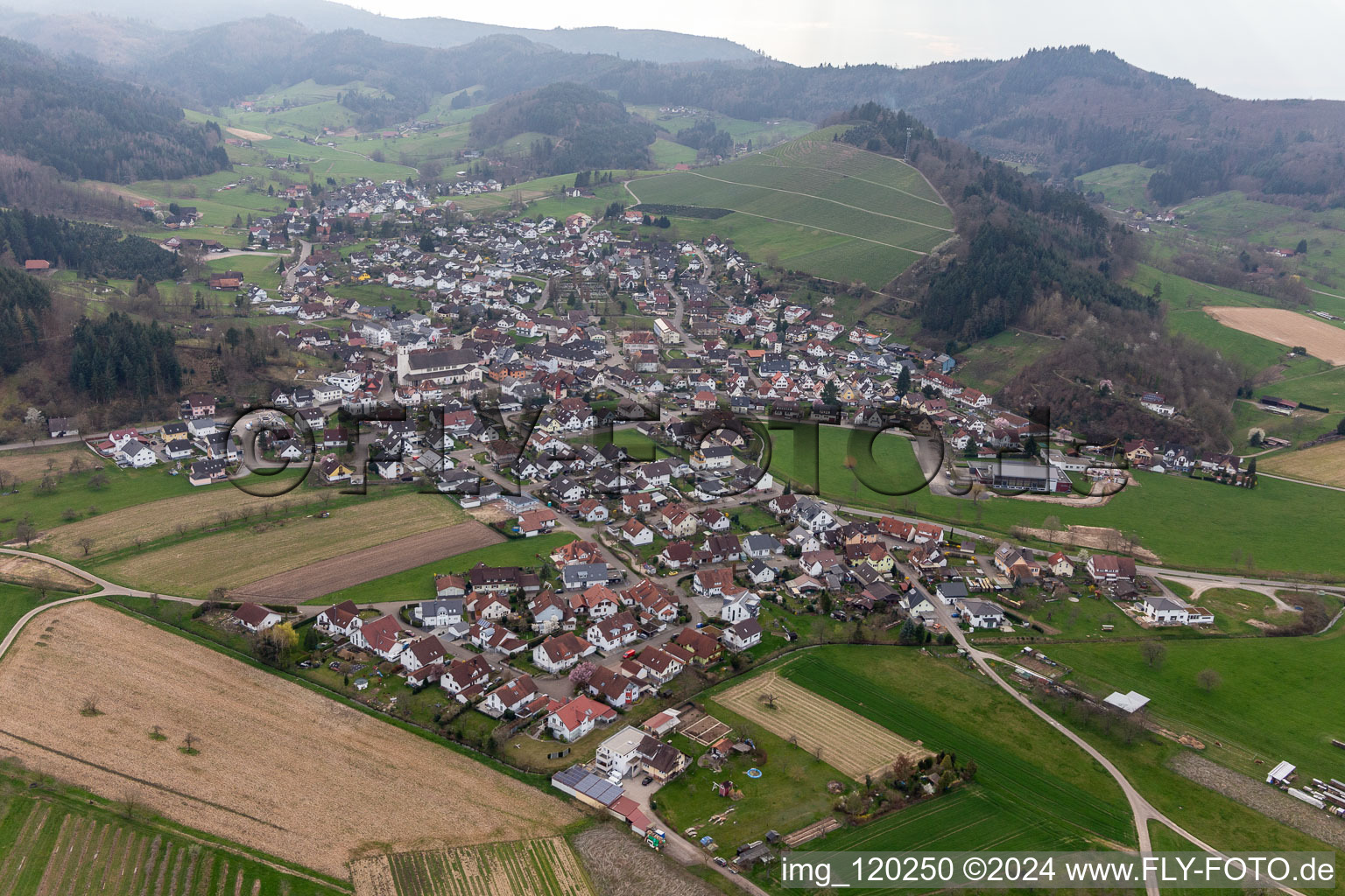 Vue oblique de Berghaupten dans le département Bade-Wurtemberg, Allemagne