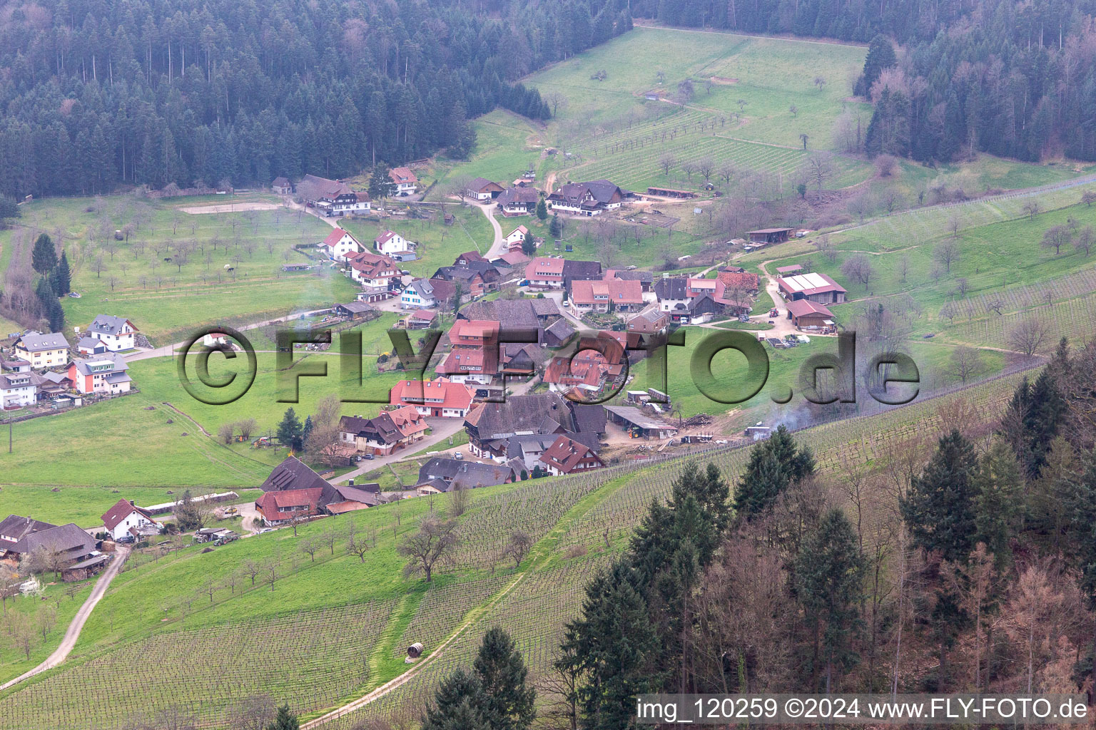 Vue aérienne de Strohbach à Gengenbach dans le département Bade-Wurtemberg, Allemagne