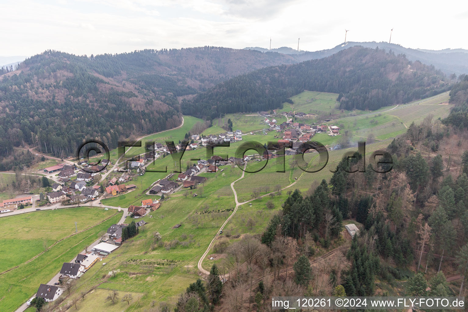 Vue aérienne de Strohbach à Gengenbach dans le département Bade-Wurtemberg, Allemagne