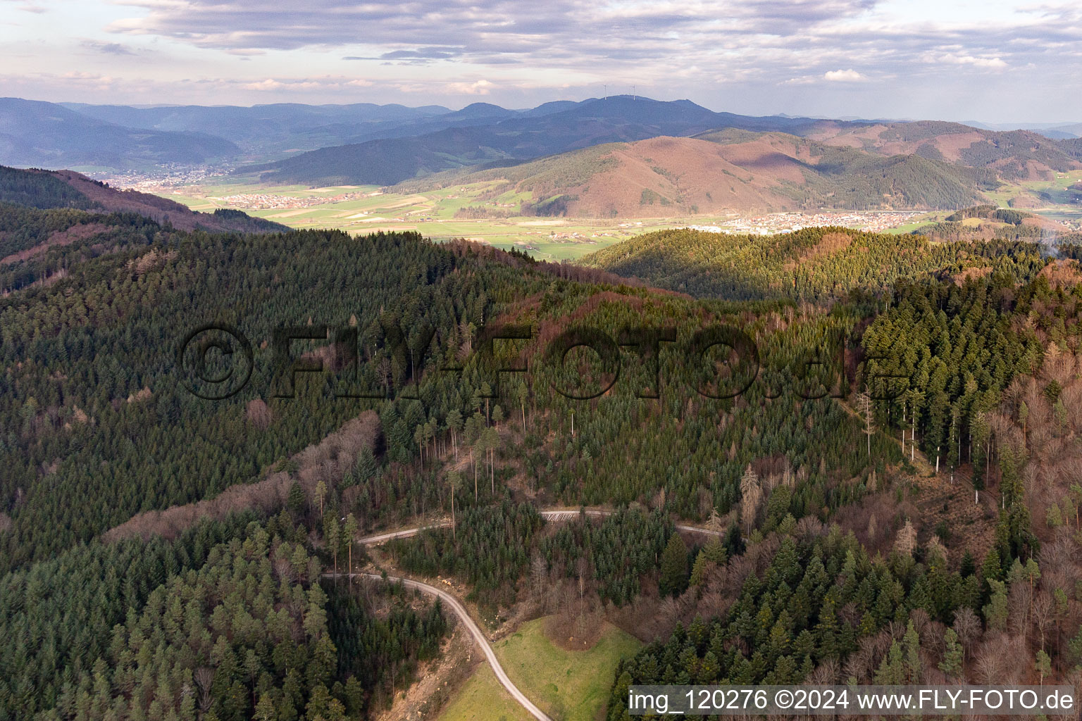 Vue aérienne de Seelbach dans le département Bade-Wurtemberg, Allemagne