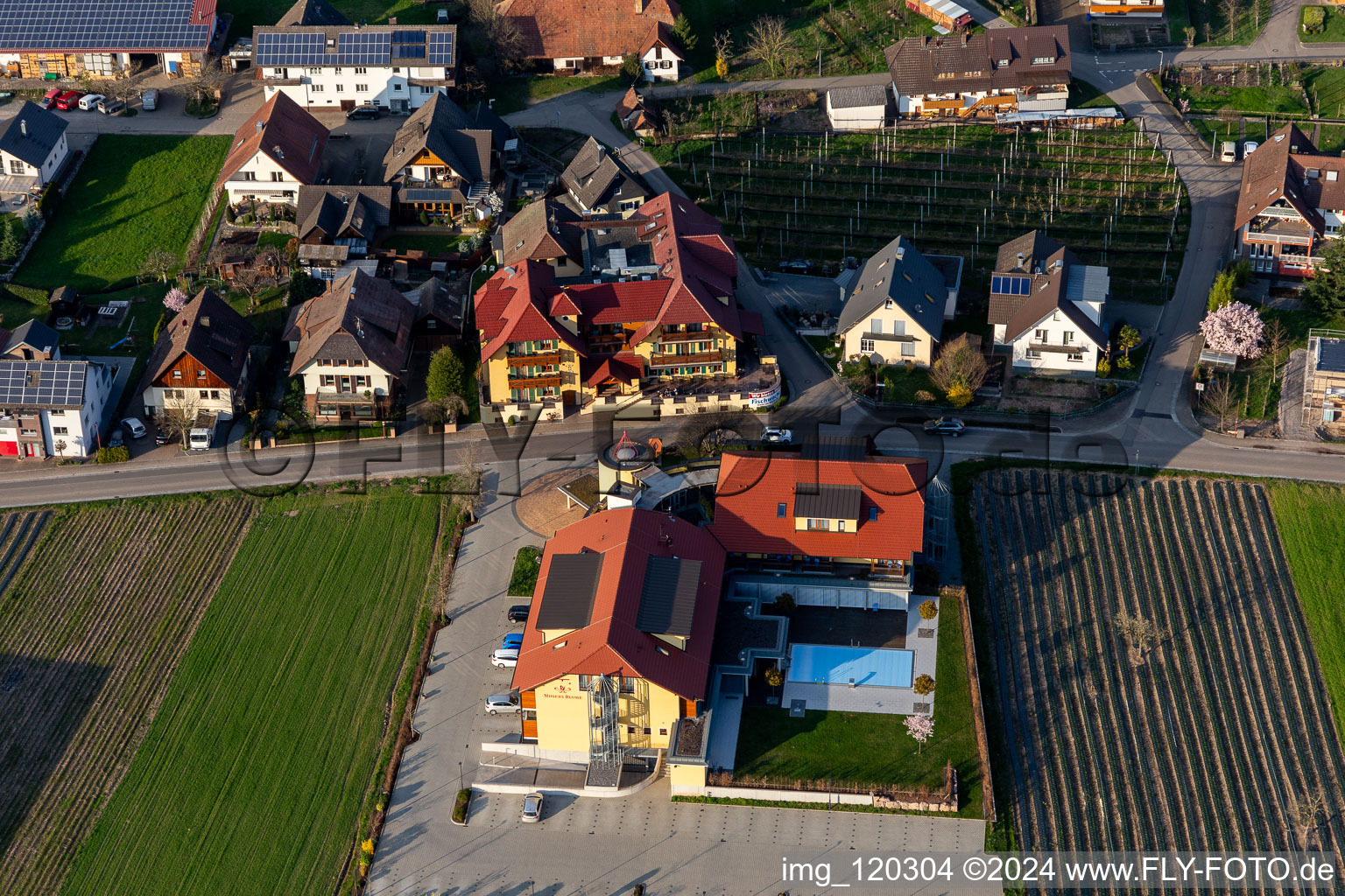 Vue aérienne de Hôtel Gasthaus Mosers Blume à le quartier Bollenbach in Haslach im Kinzigtal dans le département Bade-Wurtemberg, Allemagne